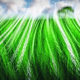 What is defi? Decentralized finance on ethereum Yield strategies explained: yield farming, liquidity provision and lasting risk management